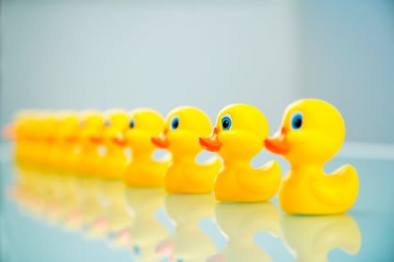 Get your ducks in a row when you switch your MSP