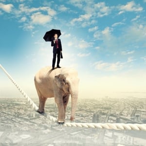 Elephant_tightrope_business_man_Yoh_blog.jpg