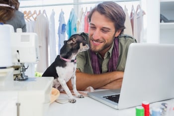 Cute chihuahua sitting on desk next to a fashion designer