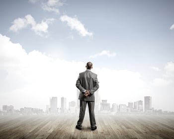 Rear view of businessman looking at city from distance