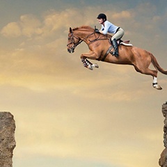 jumping_horse_case_study_edit